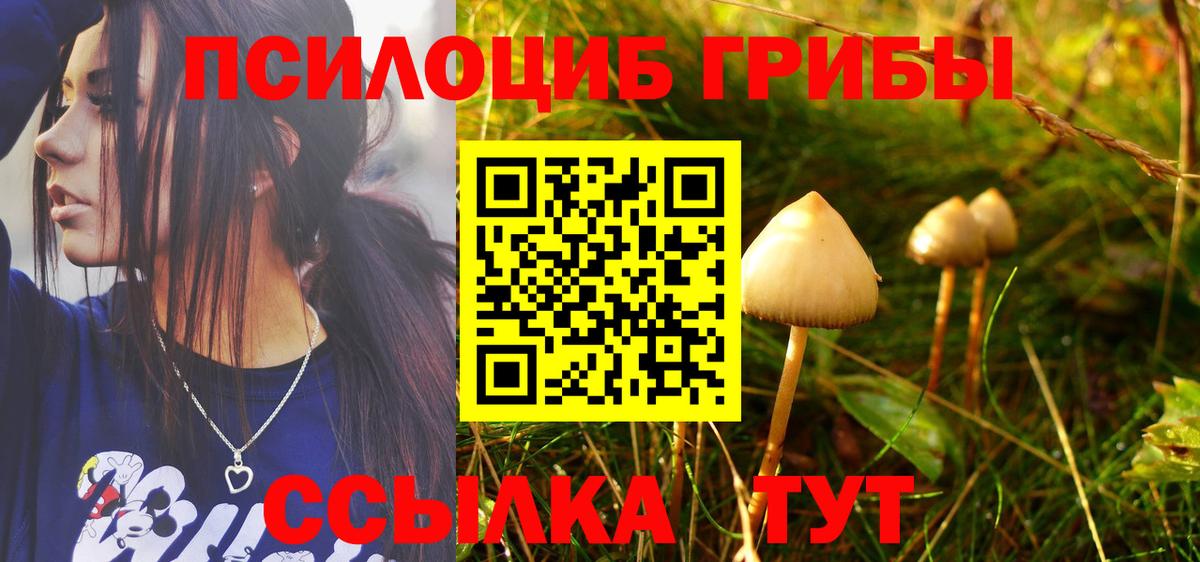 Галлюциногенные грибы Magic Shrooms Воткинск